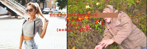 2c-b Киреевск