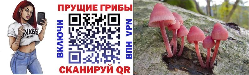Псилоцибиновые грибы мухоморы  Купить закладки  Апшеронск 